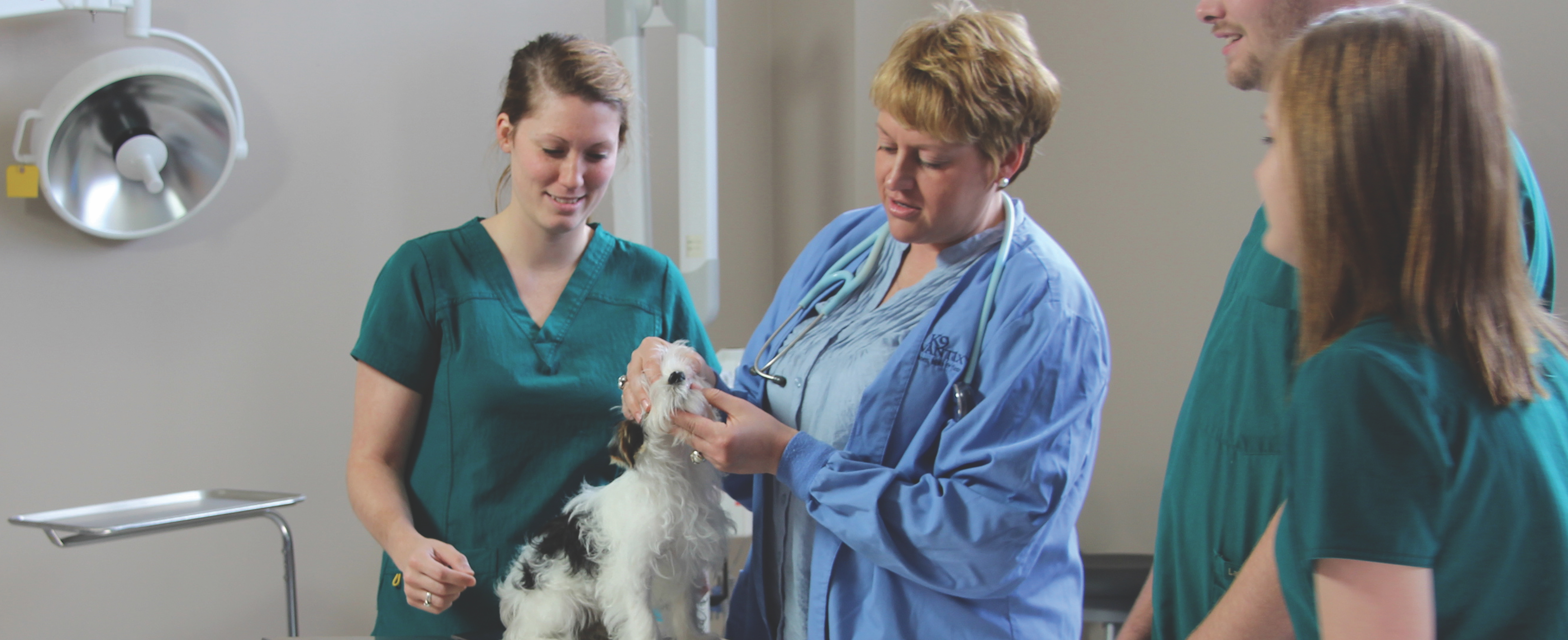 Veterinary Technology AAS = Associate of Applied Science