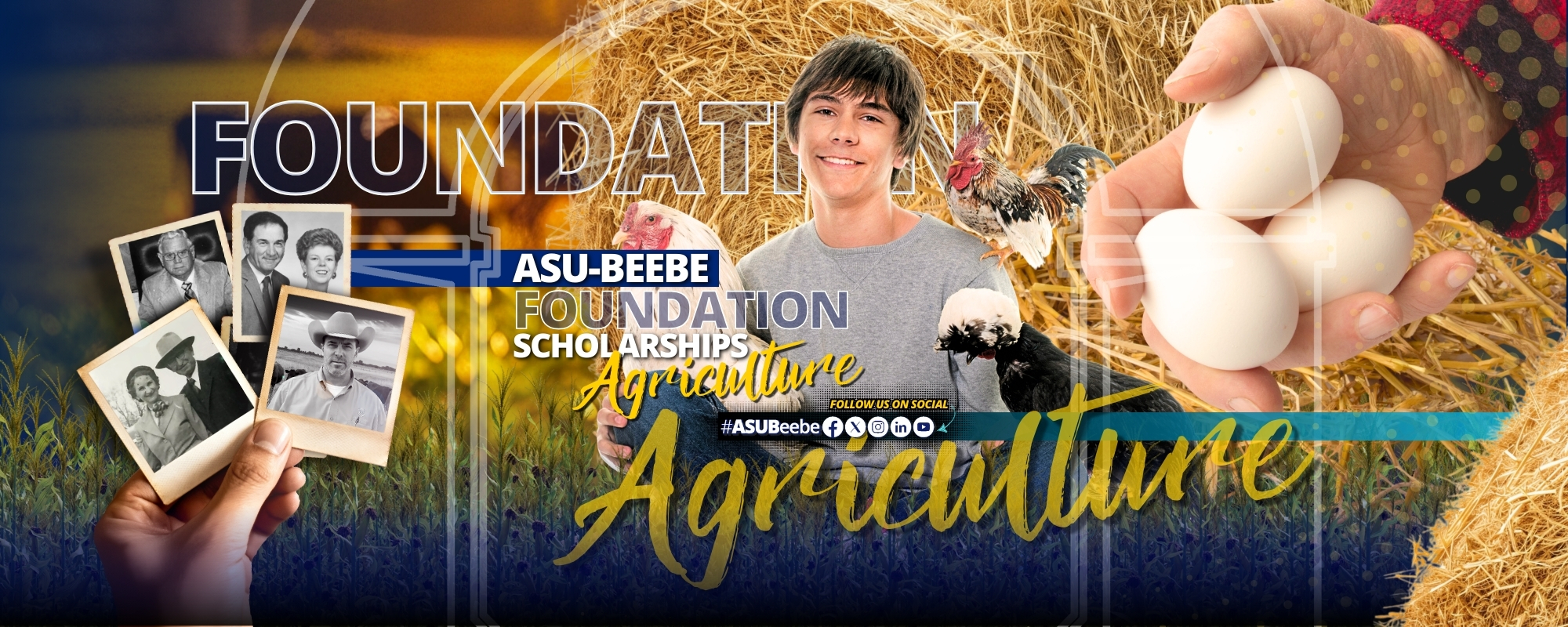 🐓 𝗟𝗘𝗔𝗥𝗡 𝗙𝗢𝗪𝗟 𝗟𝗔𝗡𝗚𝗨𝗔𝗚𝗘!